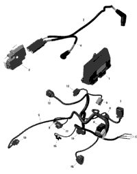 Rotax - Engine Harness And Electronic Module
