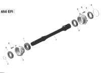 Drive Shaft