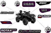 Body - Feature Decals