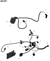 Engine Harness And Electronic Module