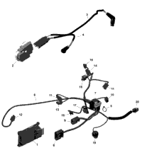 Rotax - Engine Harness And Electronic Module