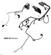 Engine Harness And Electronic Module