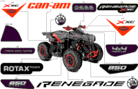Body - Feature Decals