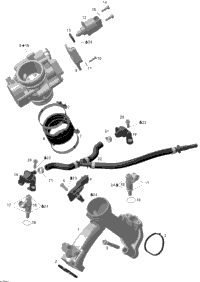 Intake Manifold And Throttle Body