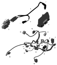Rotax - Engine Harness And Electronic Module - 215