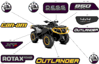Body - Feature Decals