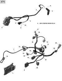Engine Harness And Electronic Module - 570 Efi (Package Pro)