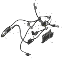 Rotax - Engine Harness And Electronic Module