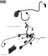 Engine Harness And Electronic Module - 650 Efi (Except Package Pro)