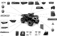 Decals - Xtp