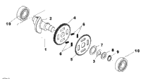 Balance Shaft