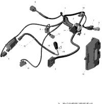 Engine Harness And Electronic Module - 450 Efi - T3 & International