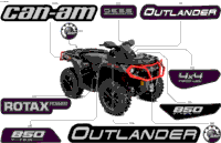 Body - Feature Decals