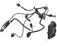 Rotax - Engine Harness And Electronic Module - 4