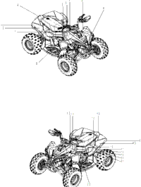 Body - Decal Xxc