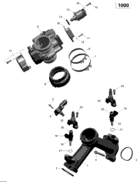 Air Intake Manifold And Throttle Body