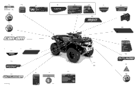 Body - Decals - Xtp