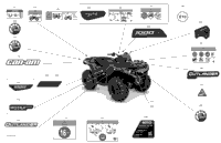 Body - Decals - Xtp