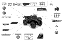 Body - Decals - Ltd