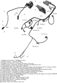 Engine Harness