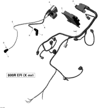 Engine Harness And Electronic Module