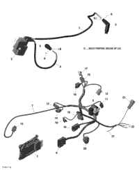 Rotax - Engine Harness And Electronic Module