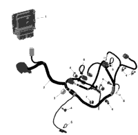 Rotax - Engine Harness - Electronic Throttle Control