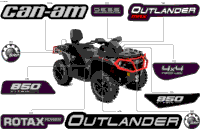 Body - Feature Decals