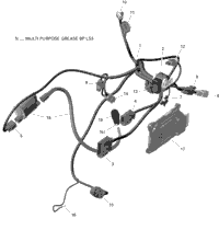 Engine Harness And Electronic Module - 450 Efi - Carb