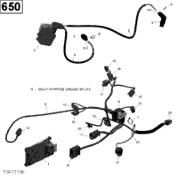 Engine Harness And Electronic Module - 650 Efi (Package Pro)