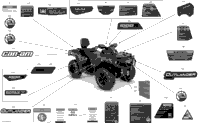 Decals - Xt
