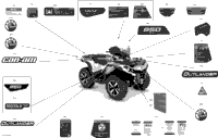 Decals - Dps