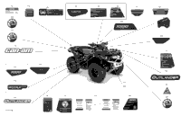 Body - Decals - Xtp - Xxc