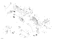Engine - Exhaust