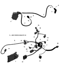 Rotax - Engine Harness And Electronic Module - 850 Efi - North Edition Only