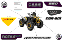 Body - Feature Decals