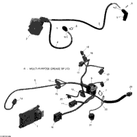 Engine Harness And Electronic Module - 650 Efi (Package Pro)