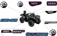 Body - Decals
