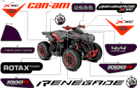 Body - Feature Decals