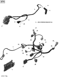 Engine Harness And Electronic Module - 570 Efi (Package Pro)