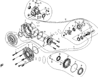 Rear Differential