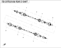 Rear Cv Shaft(Odm)