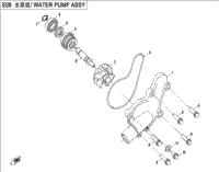 Water Pump Assy