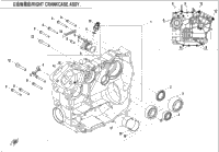 Right Crankcase Assy