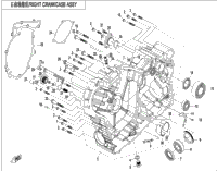 Right Crankcase Assy