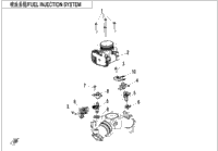 Fuel Injection System