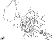 Crankcase Cover (Left)