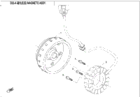 Magneto Stator Assy