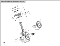 Crankshaft & Connecting Rod & Piston Assy