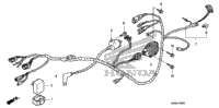 Wire Harness
